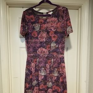 Lularoe Amelia
